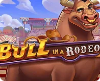 Bull in a Rodeo